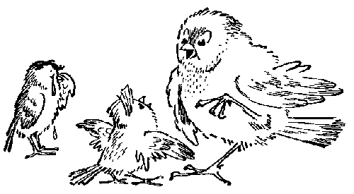 Иллюстрация к книге — Баранкин, будь человеком!. Повесть-сказка [pic_10.jpg]