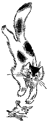 Иллюстрация к книге — Баранкин, будь человеком!. Повесть-сказка [pic_11.jpg]