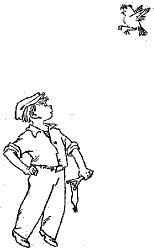 Иллюстрация к книге — Баранкин, будь человеком!. Повесть-сказка [pic_12.jpg]