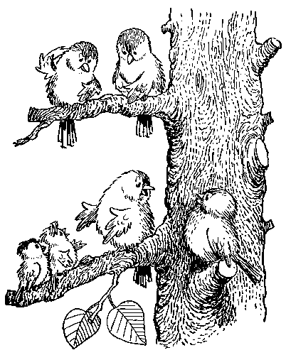 Иллюстрация к книге — Баранкин, будь человеком!. Повесть-сказка [pic_13.jpg]