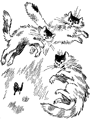 Иллюстрация к книге — Баранкин, будь человеком!. Повесть-сказка [pic_15.jpg]