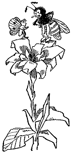 Иллюстрация к книге — Баранкин, будь человеком!. Повесть-сказка [pic_18.jpg]