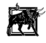 Иллюстрация к книге — Память Света [ch.bull.jpg]