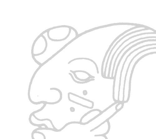 Иллюстрация к книге — Разгадка кода майя: как ученые расшифровали письменность древней цивилизации [i_001.jpg]