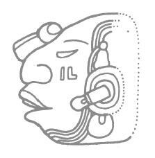 Иллюстрация к книге — Разгадка кода майя: как ученые расшифровали письменность древней цивилизации [i_002.jpg]