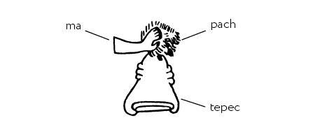 Иллюстрация к книге — Разгадка кода майя: как ученые расшифровали письменность древней цивилизации [i_037.jpg]