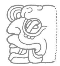 Иллюстрация к книге — Разгадка кода майя: как ученые расшифровали письменность древней цивилизации [i_046.jpg]