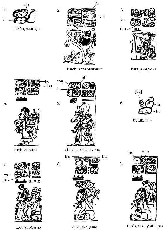 Иллюстрация к книге — Разгадка кода майя: как ученые расшифровали письменность древней цивилизации [i_047.jpg]