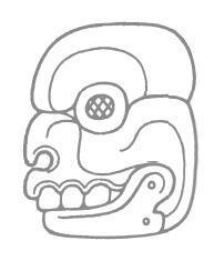 Иллюстрация к книге — Разгадка кода майя: как ученые расшифровали письменность древней цивилизации [i_068.jpg]