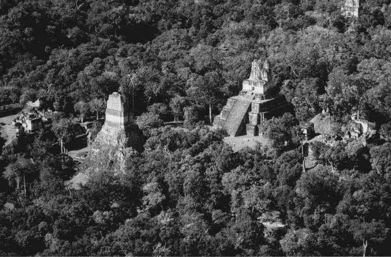 Иллюстрация к книге — Разгадка кода майя: как ученые расшифровали письменность древней цивилизации [i_100.jpg]