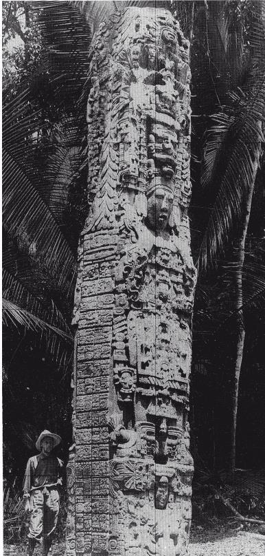 Иллюстрация к книге — Разгадка кода майя: как ученые расшифровали письменность древней цивилизации [i_115.jpg]