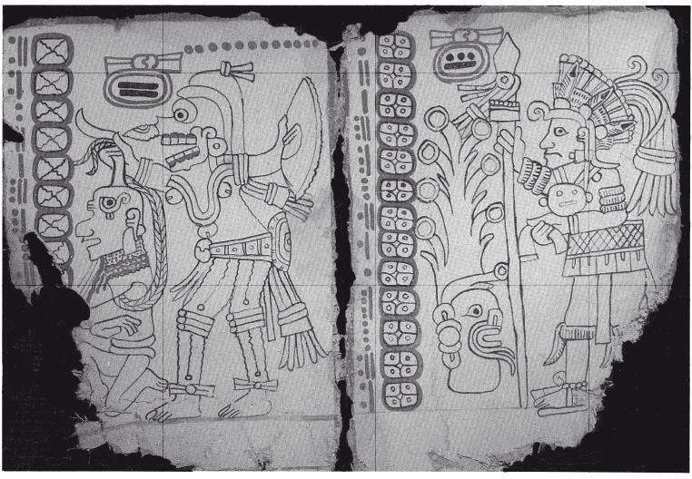 Иллюстрация к книге — Разгадка кода майя: как ученые расшифровали письменность древней цивилизации [i_131.jpg]