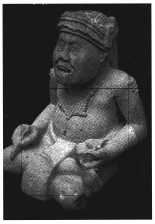 Иллюстрация к книге — Разгадка кода майя: как ученые расшифровали письменность древней цивилизации [i_136.jpg]