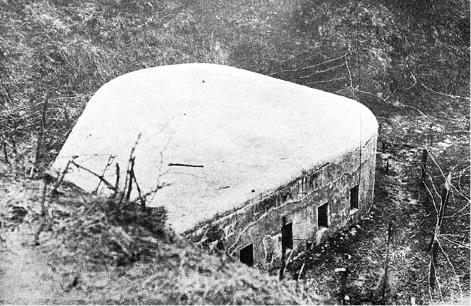 Иллюстрация к книге — Львов под русской властью. 1914–1915 [i_160.jpg]