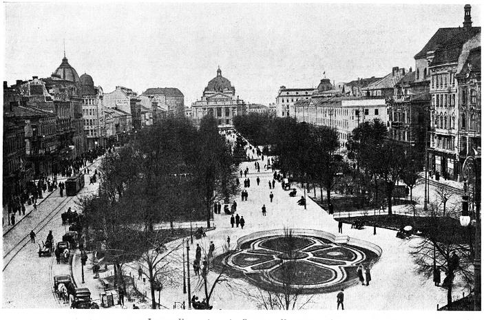 Иллюстрация к книге — Львов под русской властью. 1914–1915 [i_166.jpg]