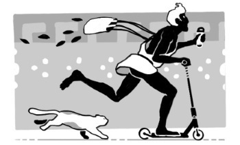 Иллюстрация к книге — Ахилл не носил одноразовых бахил. Понятное руководство по экологичному образу жизни [i_195.jpg]