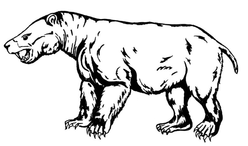 Иллюстрация к книге — Палеонтология антрополога. Том 3. Кайнозой [i_003.jpg]