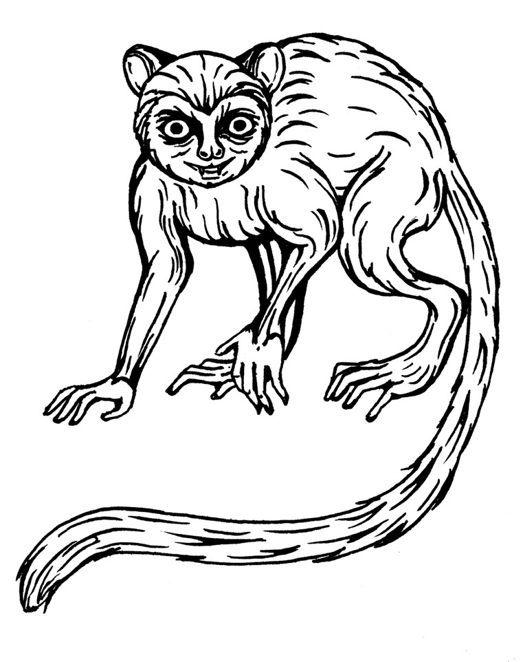 Иллюстрация к книге — Палеонтология антрополога. Том 3. Кайнозой [i_017.jpg]