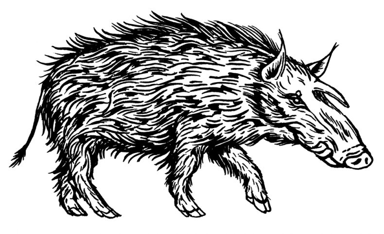 Иллюстрация к книге — Палеонтология антрополога. Том 3. Кайнозой [i_029.jpg]