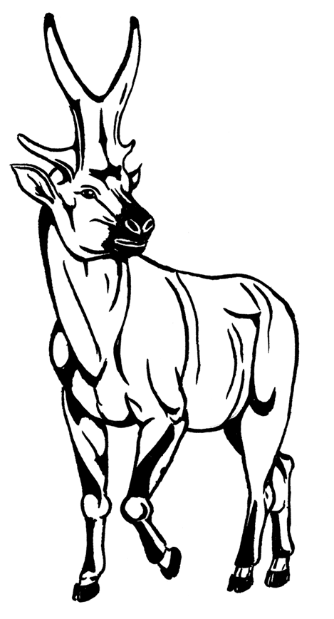 Иллюстрация к книге — Палеонтология антрополога. Том 3. Кайнозой [i_042.jpg]