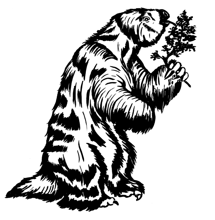 Иллюстрация к книге — Палеонтология антрополога. Том 3. Кайнозой [i_049.jpg]