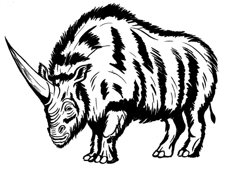 Иллюстрация к книге — Палеонтология антрополога. Том 3. Кайнозой [i_054.jpg]