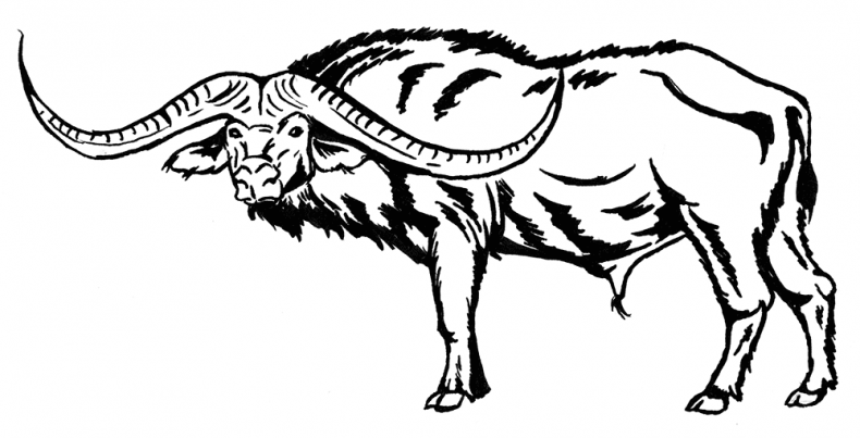 Иллюстрация к книге — Палеонтология антрополога. Том 3. Кайнозой [i_055.jpg]