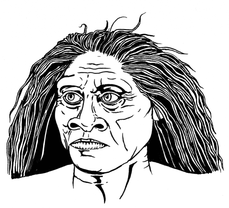 Иллюстрация к книге — Палеонтология антрополога. Том 3. Кайнозой [i_059.jpg]