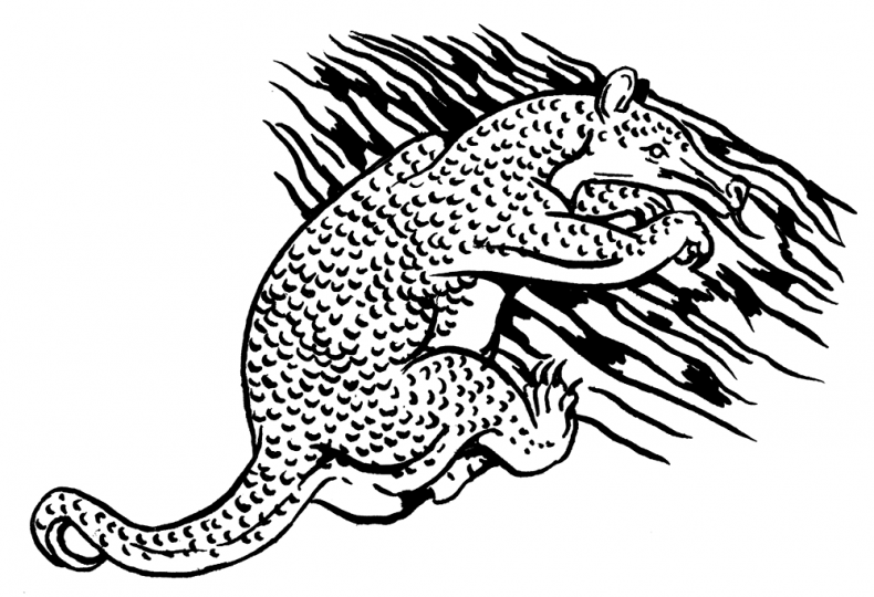 Иллюстрация к книге — Палеонтология антрополога. Том 3. Кайнозой [i_060.jpg]