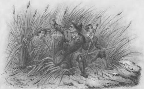 Иллюстрация к книге — Курс на Юг [i_033.jpg]