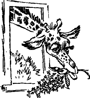 Иллюстрация к книге — Конец Атлантиды [pict_015.jpg]