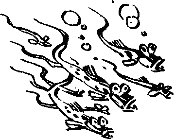 Иллюстрация к книге — Конец Атлантиды [pict_052.jpg]