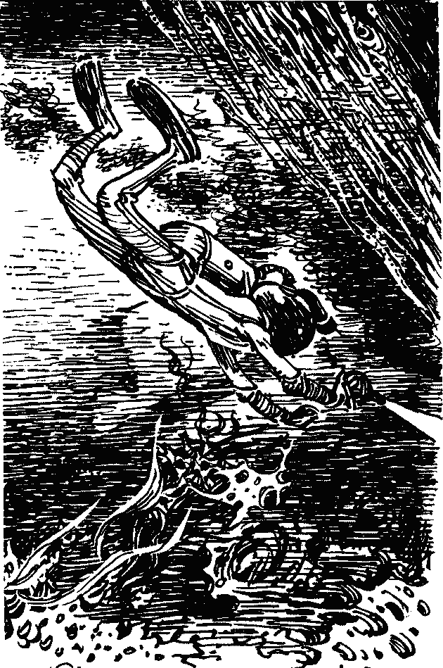 Иллюстрация к книге — Конец Атлантиды [pict_058.jpg]