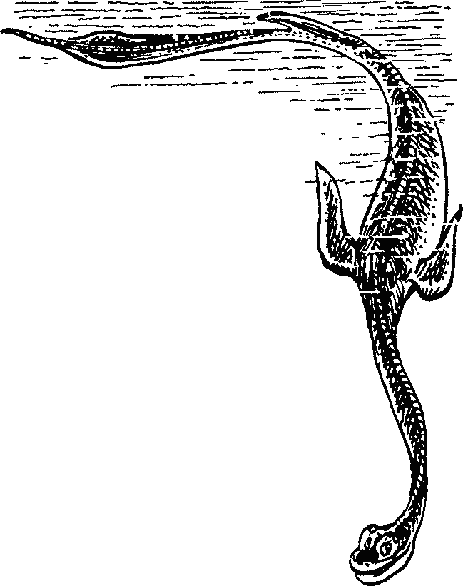 Иллюстрация к книге — Конец Атлантиды [pict_081.jpg]