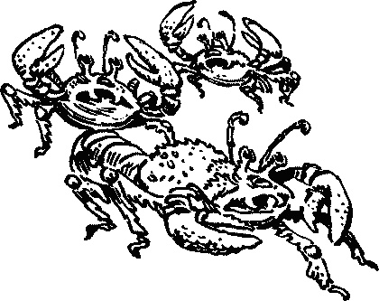 Иллюстрация к книге — Конец Атлантиды [pict_087.jpg]