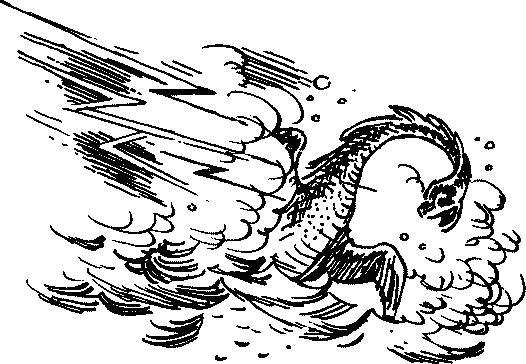 Иллюстрация к книге — Конец Атлантиды [pict_090.jpg]