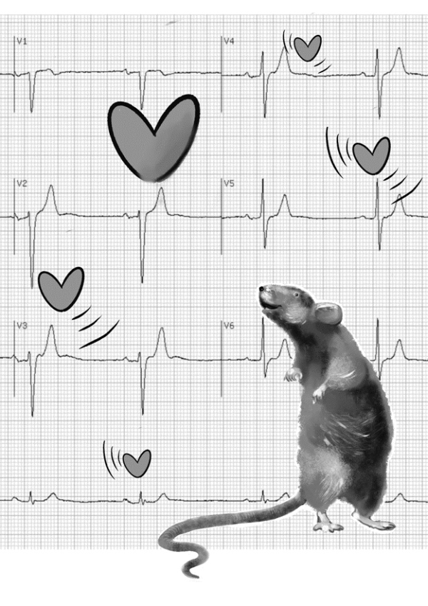 Иллюстрация к книге — Нормальная женщина. Сборник [i_005.jpg]