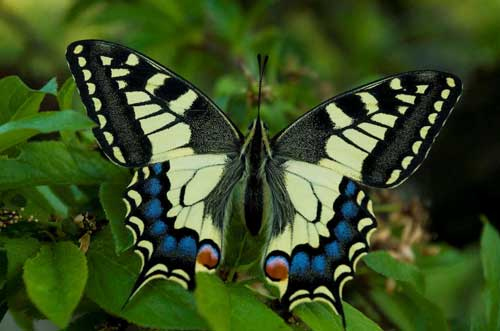 Иллюстрация к книге — Стальная империя-2 [i_108.jpg]