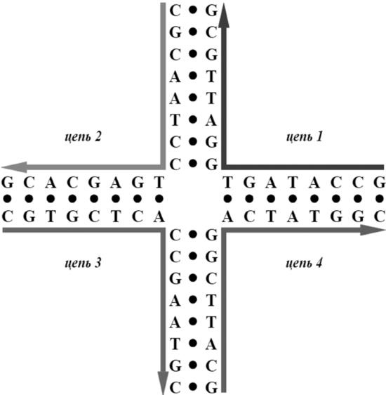 Иллюстрация к книге — Генетика на пальцах [i_014.jpg]