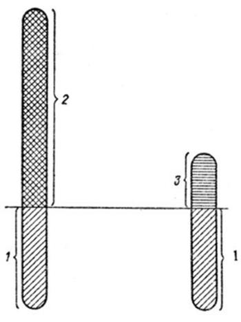 Иллюстрация к книге — Генетика на пальцах [i_030.jpg]
