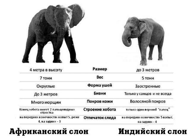 Иллюстрация к книге — Генетика на пальцах [i_040.jpg]