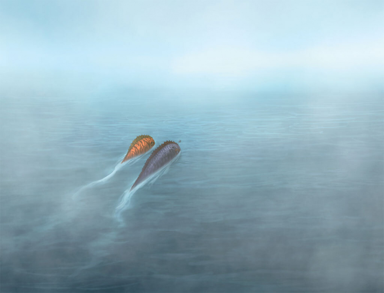 Иллюстрация к книге — Загадка белой обезьяны [i_108.jpg]