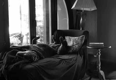 Иллюстрация к книге — Императив. Беседы в Лясках [i_047.jpg]