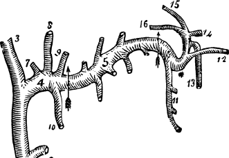 Иллюстрация к книге — Опровергая мифы о медицине. Вся правда о нашем организме [i_047.jpg]