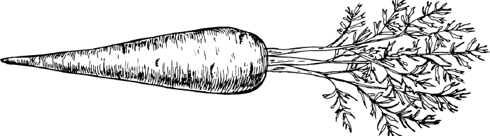 Иллюстрация к книге — Опровергая мифы о медицине. Вся правда о нашем организме [i_055.jpg]