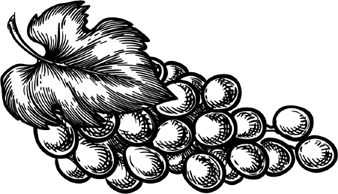 Иллюстрация к книге — Опровергая мифы о медицине. Вся правда о нашем организме [i_082.jpg]