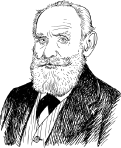 Иллюстрация к книге — Опровергая мифы о медицине. Вся правда о нашем организме [i_083.jpg]