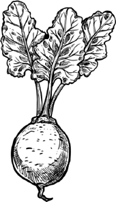 Иллюстрация к книге — Опровергая мифы о медицине. Вся правда о нашем организме [i_089.jpg]