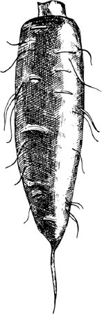 Иллюстрация к книге — Опровергая мифы о медицине. Вся правда о нашем организме [i_091.jpg]