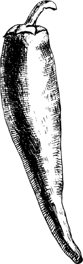 Иллюстрация к книге — Опровергая мифы о медицине. Вся правда о нашем организме [i_092.jpg]